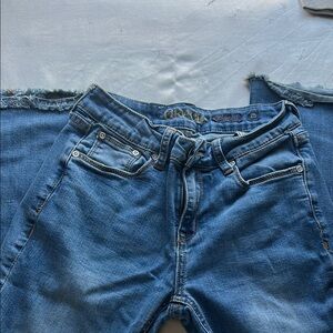 Size 25 Grace in LA Blue Jeans